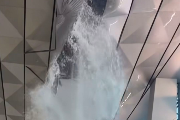 Atap Terminal 3 Bandara Soekarno-Hatta Jebol, Diduga Dampak dari Hujan Deras yang Melanda Kota Jakarta