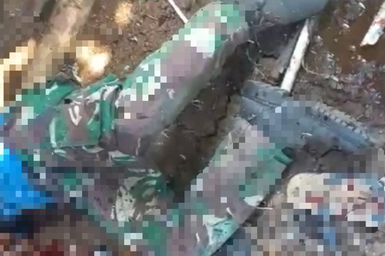 Link Video Macan Tutul Turun Gunung Papandayan di Garut Ternyata HOAKS, Begini Faktanya yang Wajib Kamu Tau