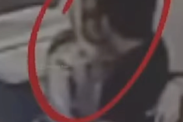 Heboh! 7 Video CCTV Inara Rusli dan Insan yang Jadi Barang Bukti Viral Media Sosial, Wardatina Mawa Ngaku Jijik