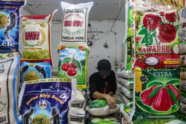 Menteri Pertanian Rilis 25 Merek Beras Fortifikasi Bermasalah dengan Kerugian Capai Rp89 Triliun, Diduga Palsukan Label Mutu SNI