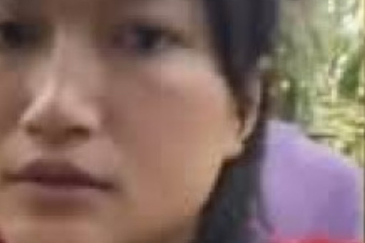 Link Download Video Viral di Kebun Sawit Full HD 1080p Tanpa Sensor, Kurang Belaian! Ibu Tiri Pun Aku Hantam