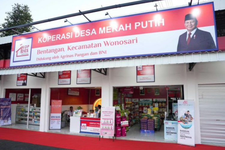 Perbedaan Tugas Manager KDKMP dan Tugas Manager Operasional KNMP, Pemerintah Buka Lowongan di Koperasi Desa Merah Putih dan Kampung Nelayan Merah Putih