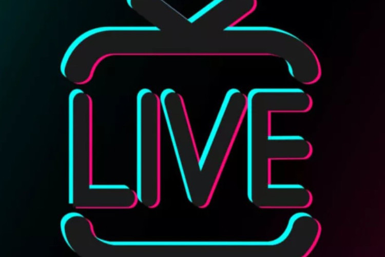 Siapa Dea Adellia? Sosok Dibalik Live TikTok Viral, Diduga Lakukan Tindak Asusila dengan Oknum Kades di Balangan Kalsel