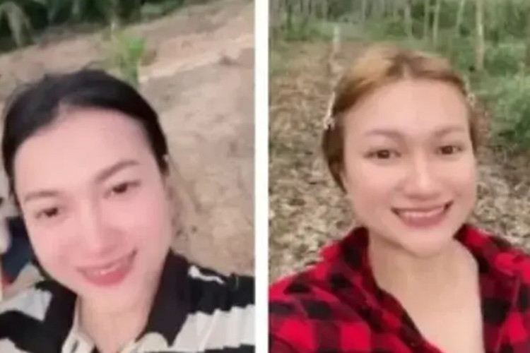 FULL! Link Video Viral Ibu Tiri VS Anak Tiri di Kebun Sawit HD GRATIS Download, Nggak Tobat-Tobat Ni Bocah