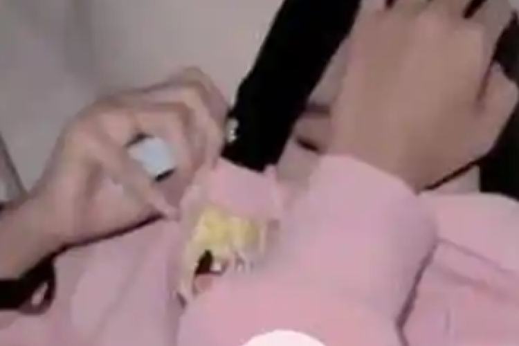 Siapa Baby Putie? Fakta Video Viral Hoodie Pink yang Dicari Netizen, Jawab Rasa Penasaranmu Disini!