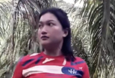 Link Download Video Viral Ibu Tiri di Kebun Sawit Part 1-2 Full HD GRATIS, Kacau! Main Bareng Anak Tiri Sendiri