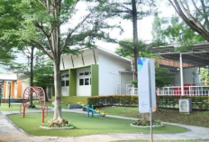 Pengajar Sekolah ICM Tangsel Diduga Lakukan Pelecehan Seksual Terhadap Siswi Alumni, Kini Telah Masuki Babak Baru