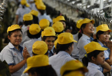 PT Swakarya Insan Mandiri Penipuan atau Bukan? Cek di Sini Faktanya Sebelum Kirim CV ke Loker yang Dipost Online