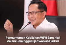 Pemerintah Tetapkan Kebijakan WFH Bagi ASN Per 1 April 2026, Komisi DPR RI II Indrajaya Sebut Evaluasi Harus Tetap Dilakukan
