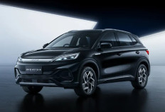 Melunjak! Daftar Harga Mobil Listrik BYD Terbaru Oktober 2026, BYD Sealion 7 Naik Rp250 Juta
