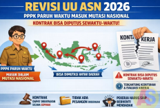 Geger! Isu Penghapusan PPPK Paruh Waktu Mencuat, Ini Dia Tanggapan Pemerintah Terkait Regulasinya