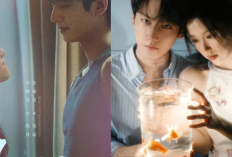 Sinopsis & Nonton Drama China Never Ending Summer (2026) Full Episode Sub Indonesia: Kisah Cinta Lama Bersemi Kembali