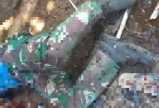 Link Video Macan Tutul Turun Gunung Papandayan di Garut Ternyata HOAKS, Begini Faktanya yang Wajib Kamu Tau