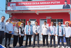 Simak Cara Daftar Manager Koperasi Desa Merah Putih, Posisis Strategis dengan Gaji UMR Setempat