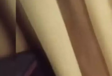 Video Oknum Kades di Balangan Kalsel Viral X Twitter Hingga TikTok, Live Streaming Mesum yang Banjir Kecaman