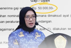 Perbandingan Gaji PPPK vs PNS 2026: PPPK Rp46 Juta/Tahun, PNS Rp67 Juta dengan TPP, Guru Bersertifikat Dapat Tunjangan Profesi