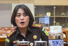 Sosok Kajari Danke Rajagukguk yang Viral Terkait Kasus Amsal Sitepu, Harta Kekayaan Senilai 678 Juta Diperiksa Kejaksaan Tinggi Sumatera Utara