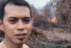 Video Viral Choirussaib Diduga Bakar Lahan di Kebun Sawit, Beri Klarifikasi: Saya Hanya Membakar Tumpukan Kayu 