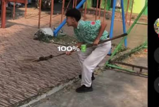 Video A Day in My Life Zaefier Viral Isinya Apa Aja? Warganet Heboh dengan Isinya Hingga Syok