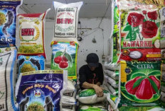 Menteri Pertanian Rilis 25 Merek Beras Fortifikasi Bermasalah dengan Kerugian Capai Rp89 Triliun, Diduga Palsukan Label Mutu SNI