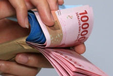 Geger! Gaji ASN Dipindah dari BPD ke Bank BUMN, Begini Klarifikasi Dian Ediana Kepala Eksekutif Pengawas Perbankan OJK