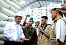 Hadapi El Nino, 5 Juta Ton Beras Sudah Disiapkan Pemerintah di Perum Bulog, Masyarakat Jangan Panik Buying! 