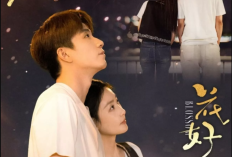 Siap Baper! Nonton Blossom (2026) Episode 1-2 Sub Indo, Chemistry Zhou Yiran & Wang Ziqi dalam Ruang Konsultasi Psikologis