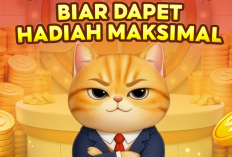 Kumpulan Jawaban Unik Nego Neko Shopee Februari 2026, Cara Ampuh Nego Neko Kucing Pintar