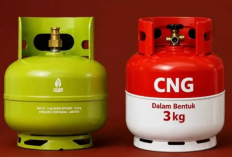 CNG Clustering Didapuk Akan Menggantikan Gas Elpiji 3 Kilogram Tahun Depan, Asli Atau Hoax?