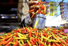 Harga Pangan Terbaru Hari ini 17-18 Februari 2026: Bawang Merah & Cabai Rawit Merah Masih Tinggi, Inflasi Harga Jelang Ramadan
