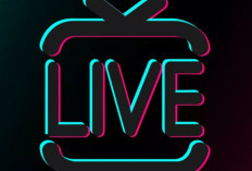 Siapa Dea Adellia? Sosok Dibalik Live TikTok Viral, Diduga Lakukan Tindak Asusila dengan Oknum Kades di Balangan Kalsel