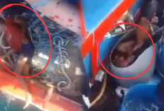 MIRIS! 4 ABK Disiksa di KM Maulana 23, Diduga Karena Hasil Tangkapan Ikan Tak Sesuai Target