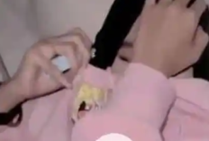 Siapa Baby Putie? Fakta Video Viral Hoodie Pink yang Dicari Netizen, Jawab Rasa Penasaranmu Disini!