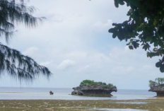 Video Viral 6 Menit di Wakatobi Viral Isinya Apa Aja? Bikin yang Nonton Gemeter dan Syok!