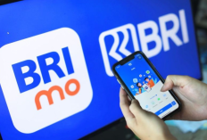 Cara Mengatasi Error MNTB di BRImo 2026, Cek Kode Jangan Sampai Saldomu Terpotong Habis