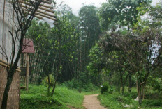 Penemuan Jasad Pria Tergantung di Kawasan Kampus Unpad Jatinangor, Diduga Bunuh Diri Sudah 7 Hari Meninggal
