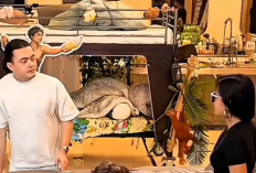 Apa Arti Pakoff? Istilah Viral yang Dilontarkan Wanda Oz ke Jayjax di Tengah Live Marapthon Season 3 Jadi Bahan Cibiran